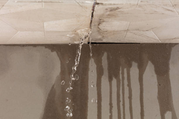 Professional Water Damage Repair technician working in Holly Springs, GA